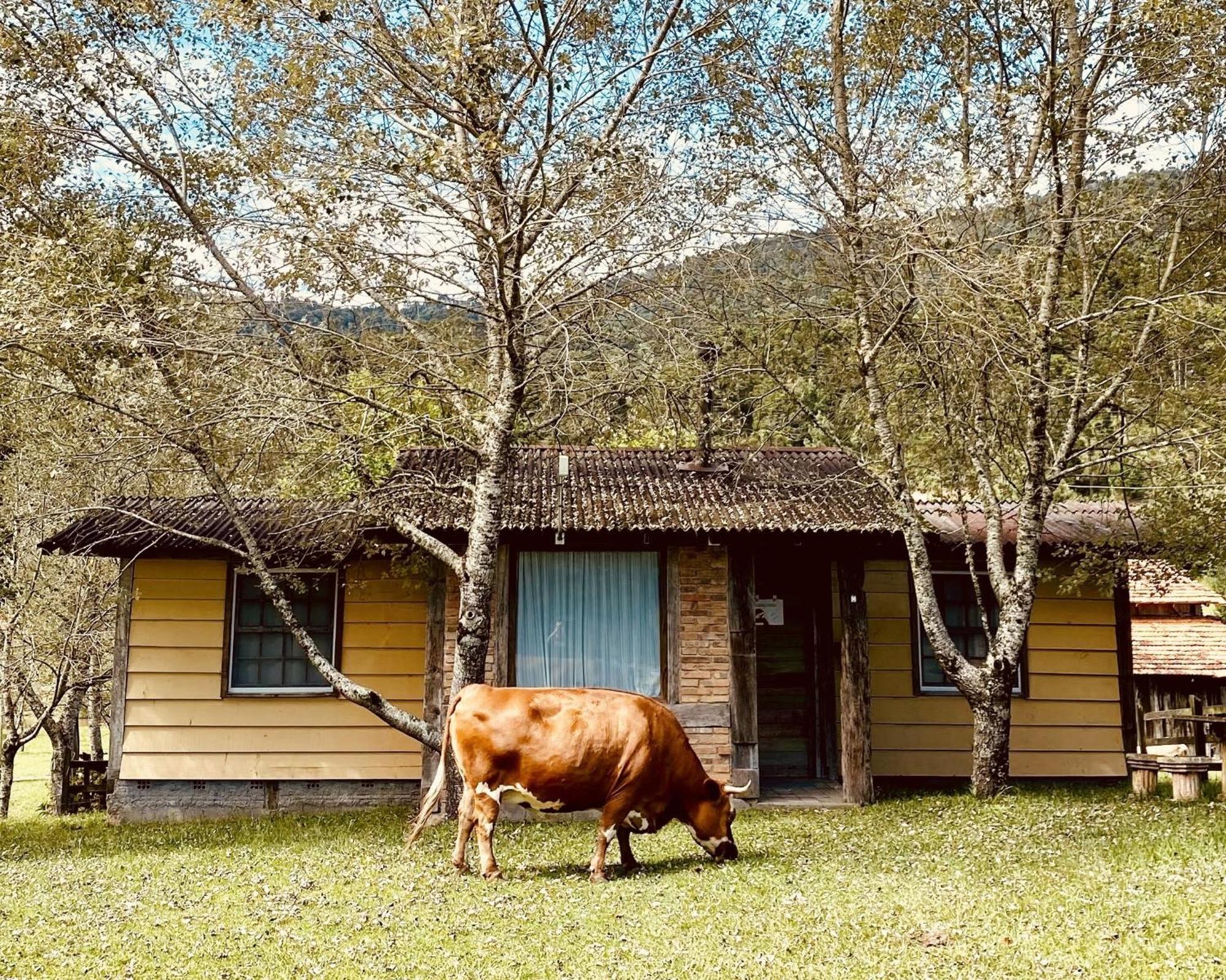 Estalagem Santo Antonio Hotel Urubici Luaran gambar
